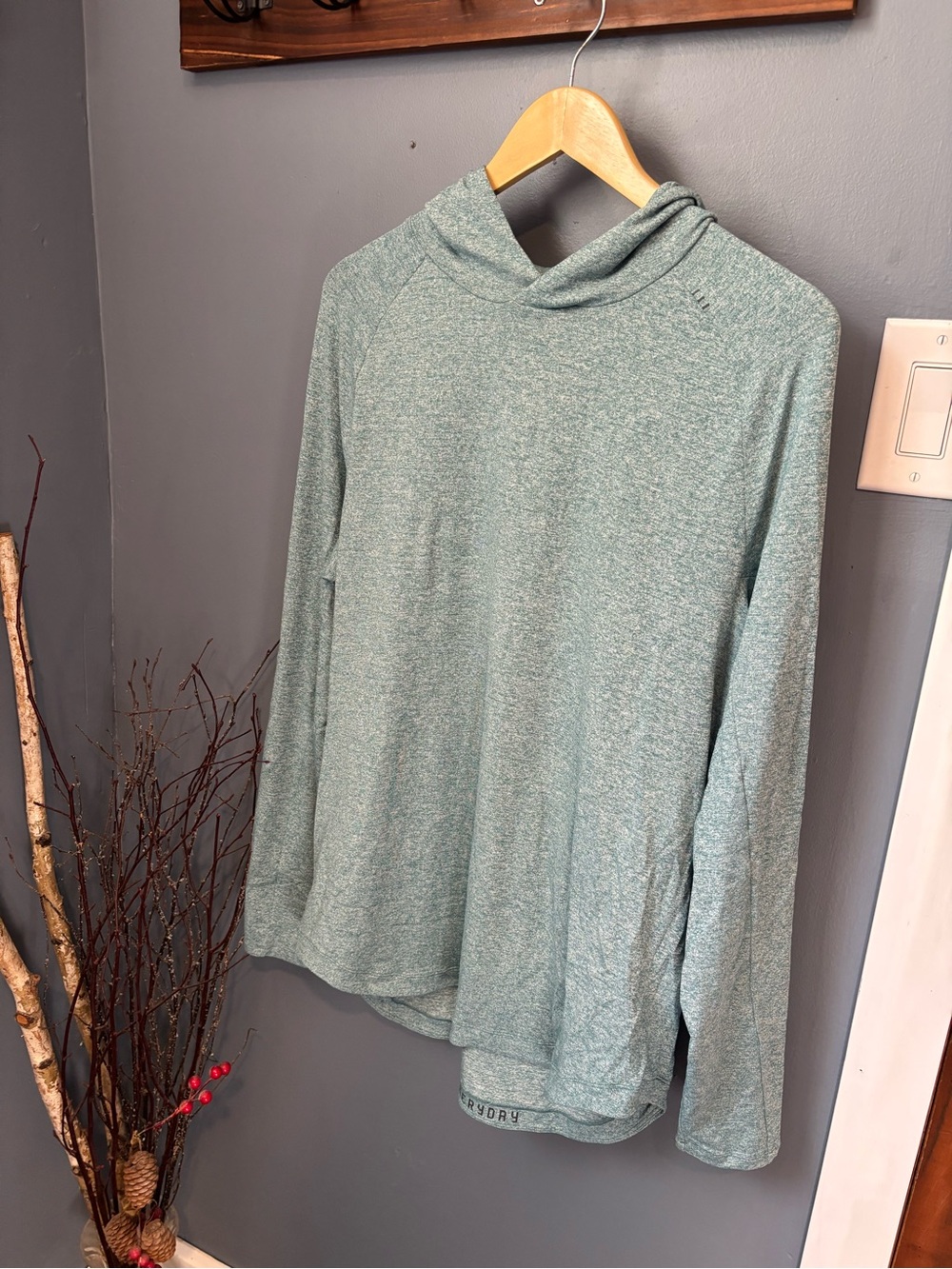 Heathered Seafoam License to Train Hoodie